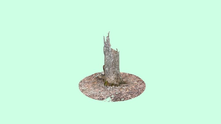 Elf Tree House 3D Model