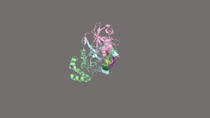 SARS-CoV-2 protease and N3 inhibitor 3D Model