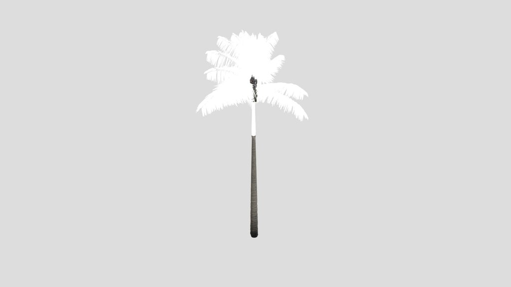 Imperial Palmtree