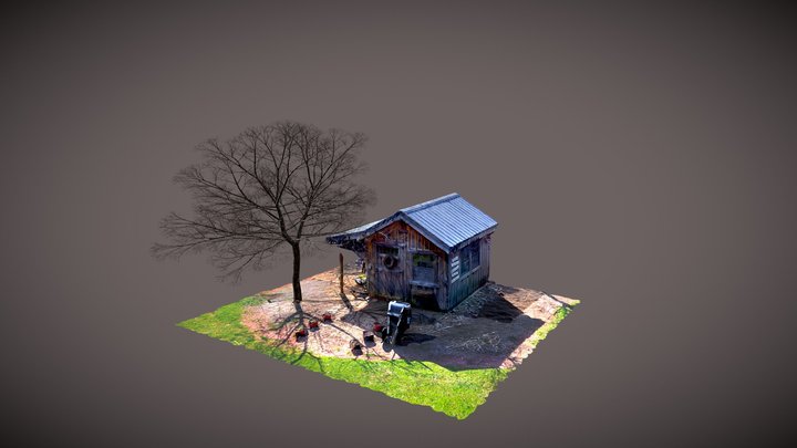 Shed w/ Chestnut tree and Packed Resources 3D Model