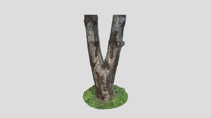 Tree – Modèle 3D gratuit STL