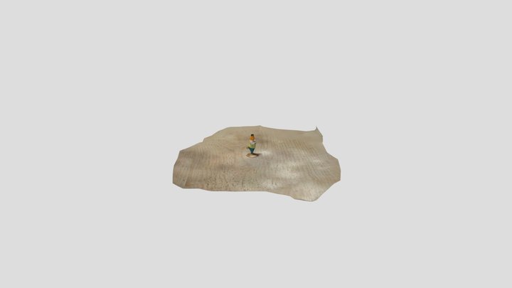 little fox Doctor 3D Model