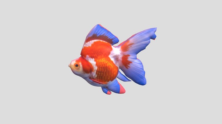 Mas Koki-1 3D Model