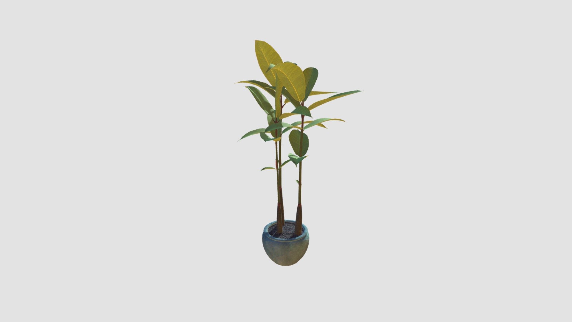 Plant — Sketchfab embed 3D viewer