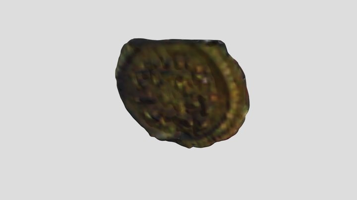11.02.2022_Coin 3D Model