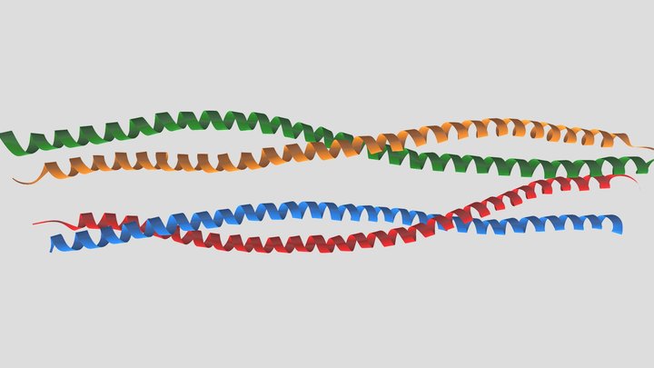 Keratine chains // vlákna keratinu 3D Model