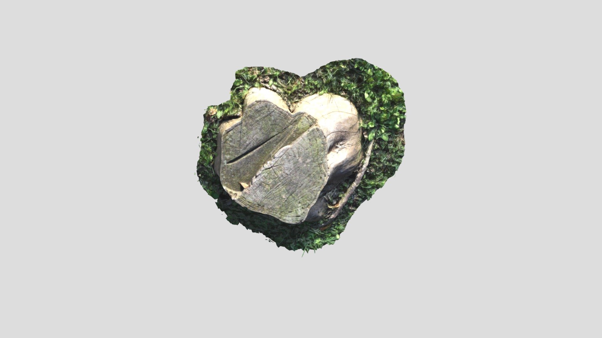 TreeTrunk-March