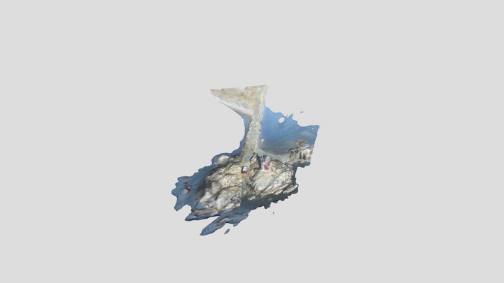 Fisgard-1 3D Model