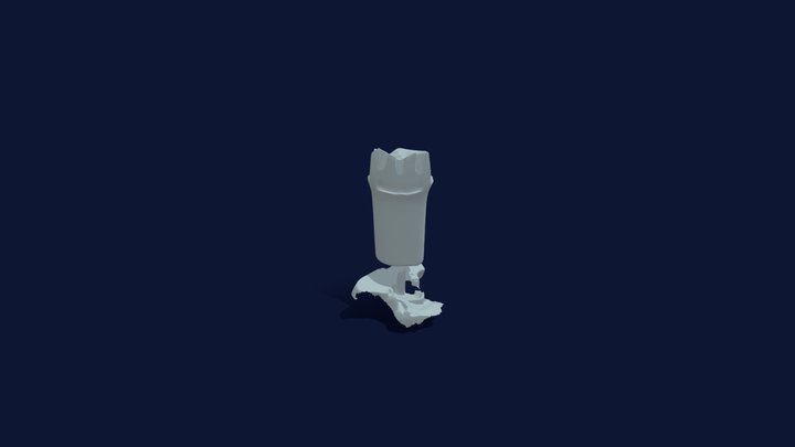 PFM #14 - 6 3D Model