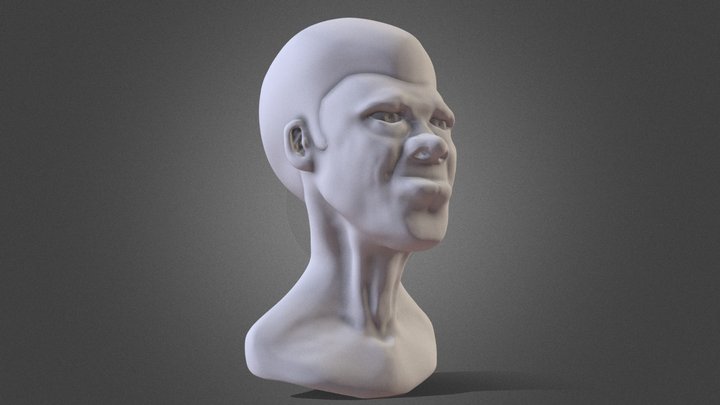 Bust of Old African Man 3D Model