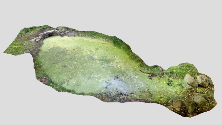 Murky Moss Pond 3D Model