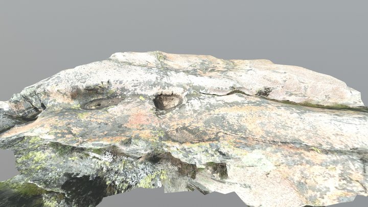 MODEL 3D Model