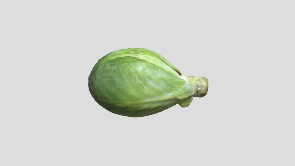 Cabbage Green