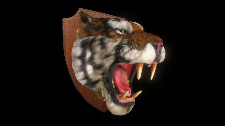 Tiger 3D Model