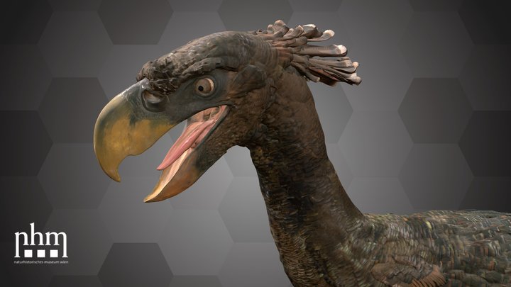 Terror Bird (NHMW-GEO-2012/0007/0001) 3D Model