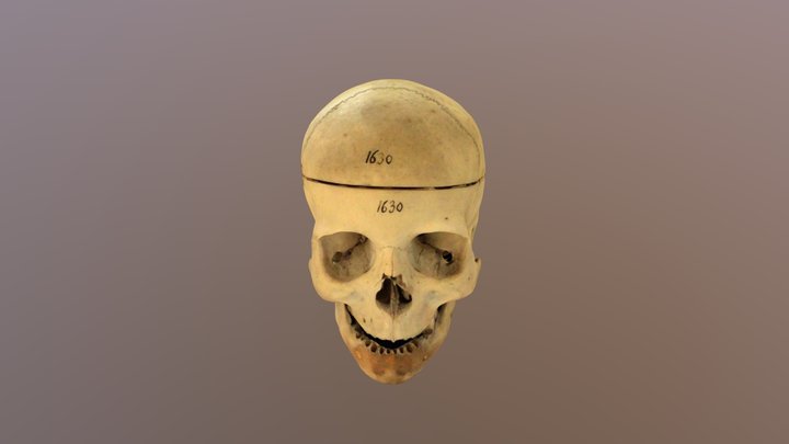1630 3D Model