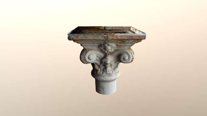 Canopy in Auckland 3D Model