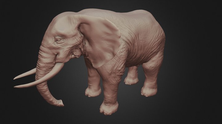 Highpoly Elephant Sculpt 3D Model