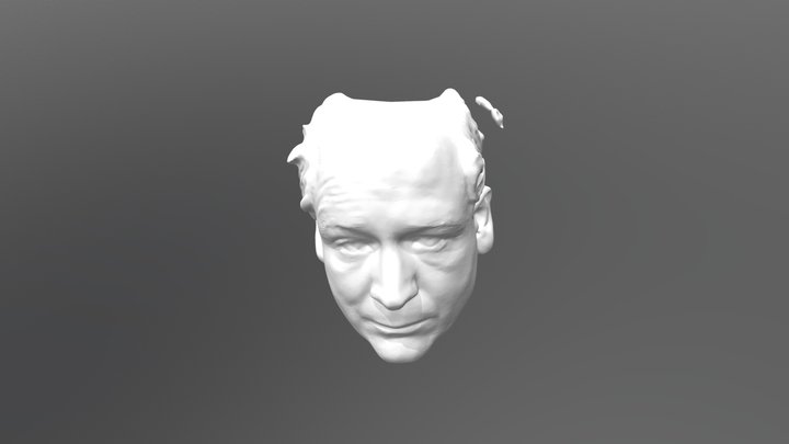 Head 01 Smooth 3D Model