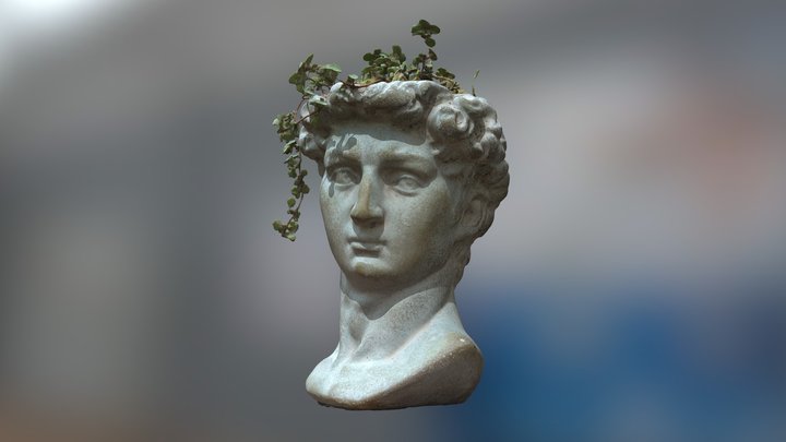 Head of David but with hay 3D Model