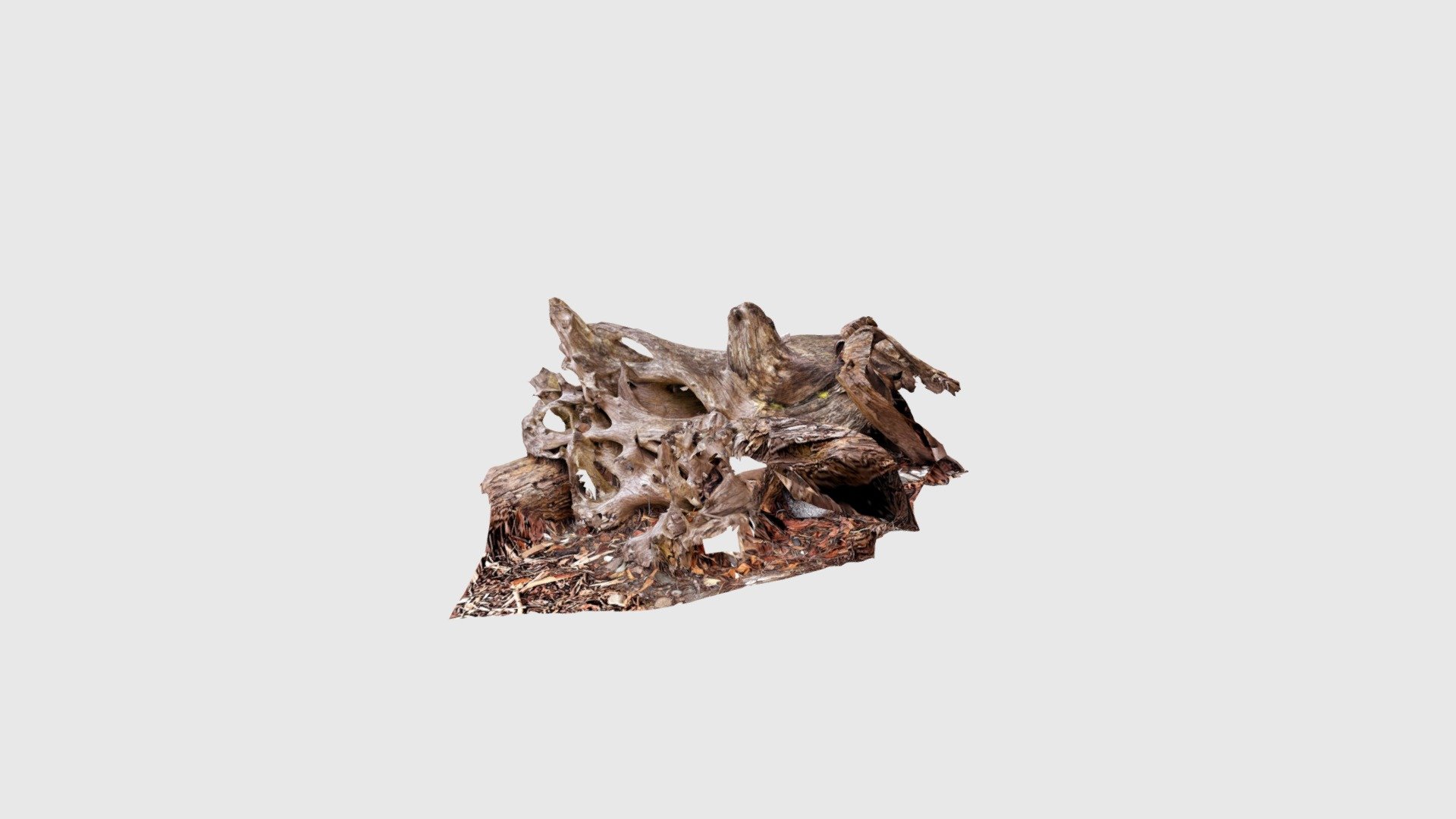 Driftwood