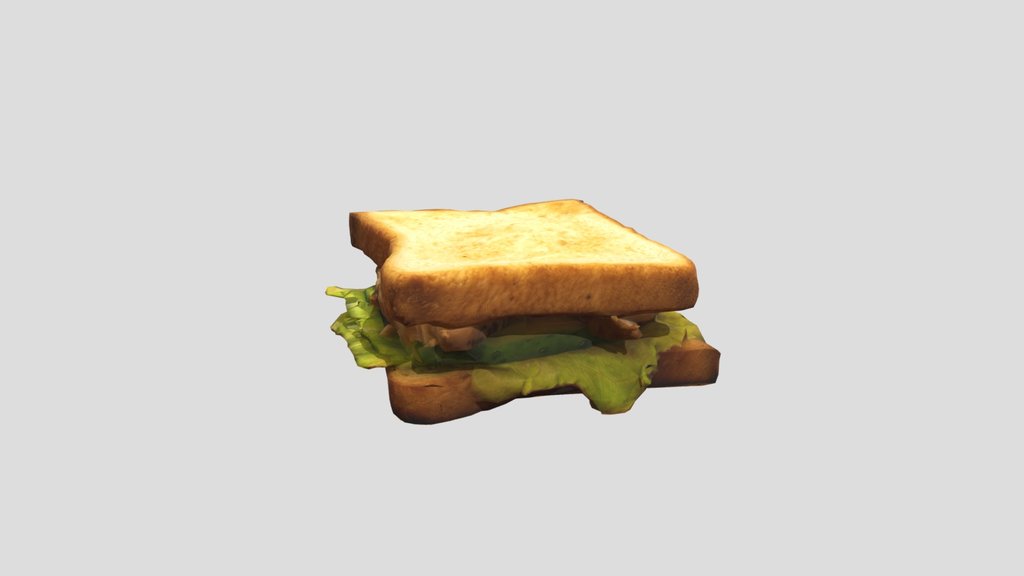 Turkey Sanwich