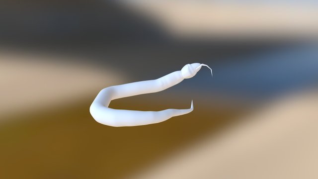 Hughes Snake 3D Model