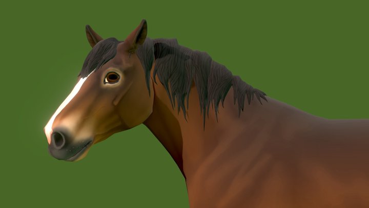 North Swedish Horse - new 3D Model