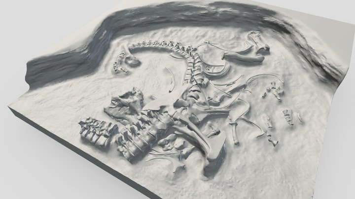 Tyrannosaurus excavation site (recon.) 3D Model