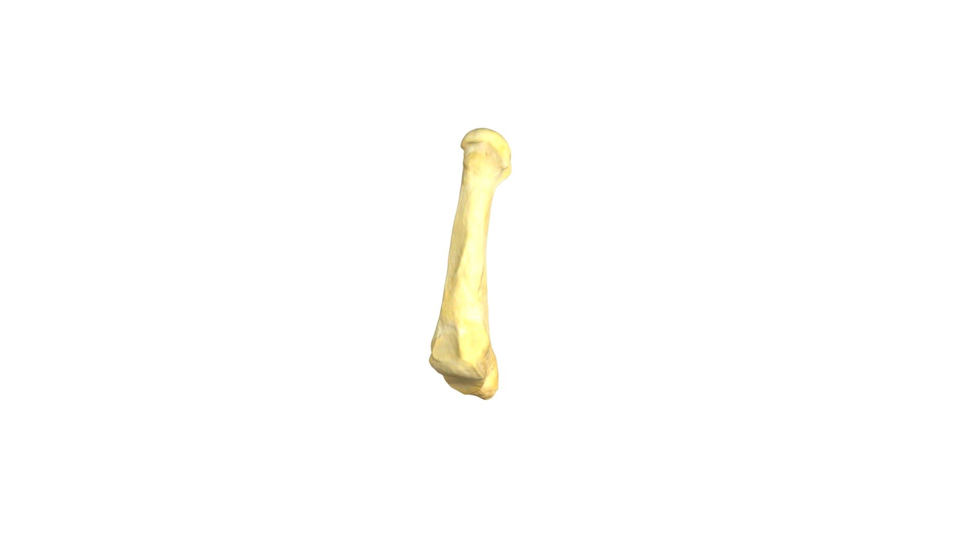 Lab 3 - Specimen B1