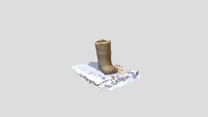 FEET WITH BANGLES 3D Model