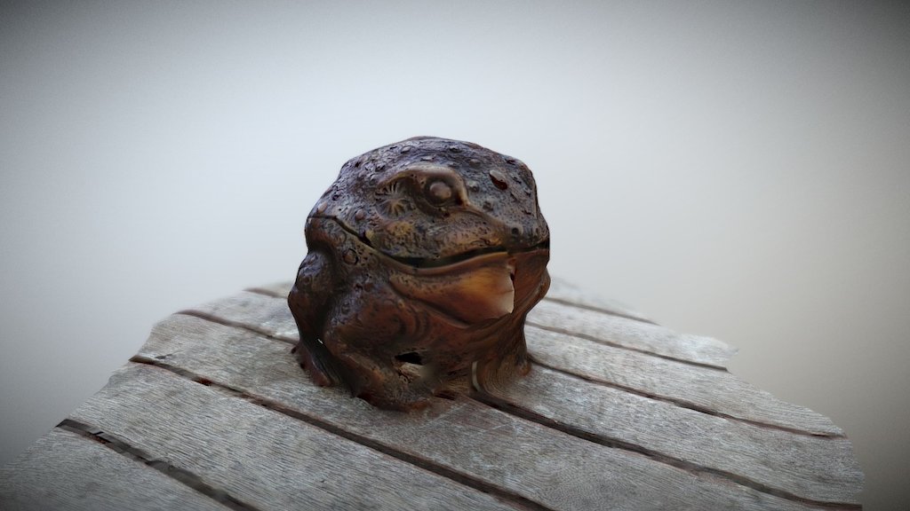 Toad - 3D Scaned Model