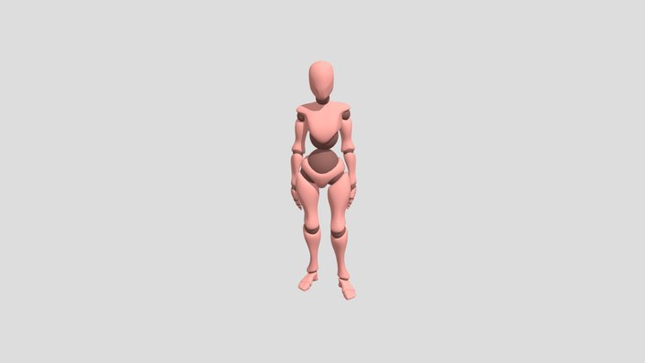 Xbot 3D Model