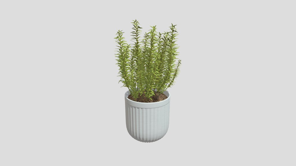 Vertical Herb Plant Pot