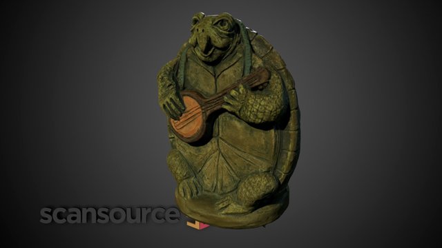 Banjo Turtle 3D Model
