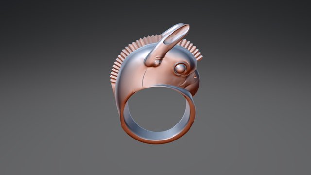 Homa Ring 3D Model