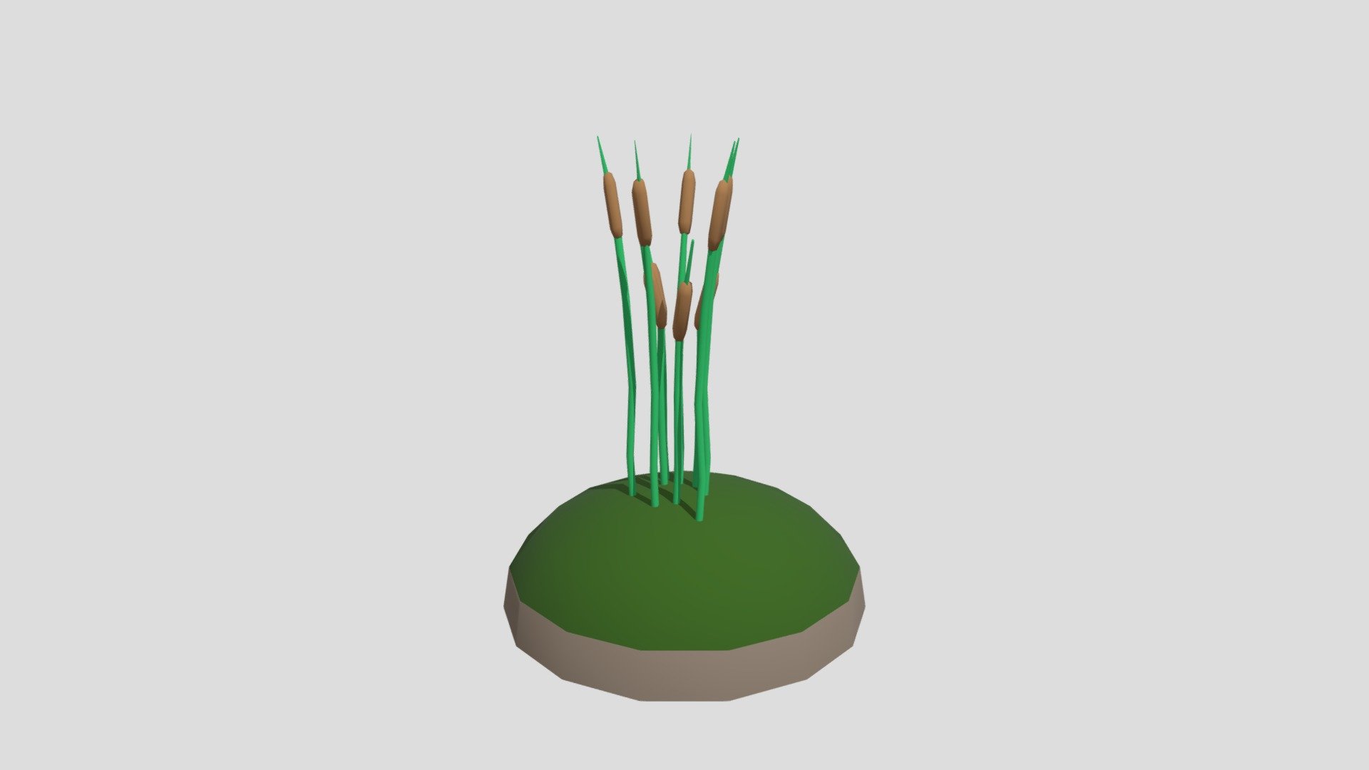 Cattail from Poly by Google