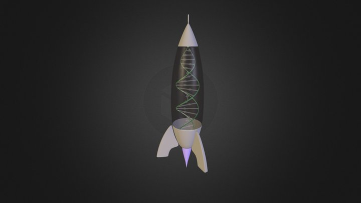 Rocket 3D Model