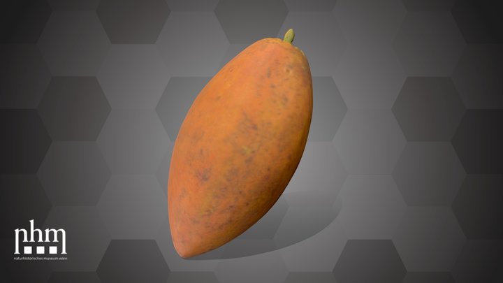 Jujube (NHMW-AFW-DING-0046-139) – Modèle 3D gratuit STL