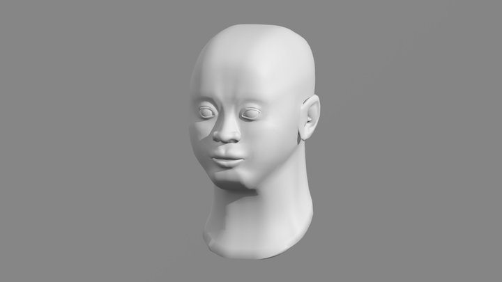Head 3D Model