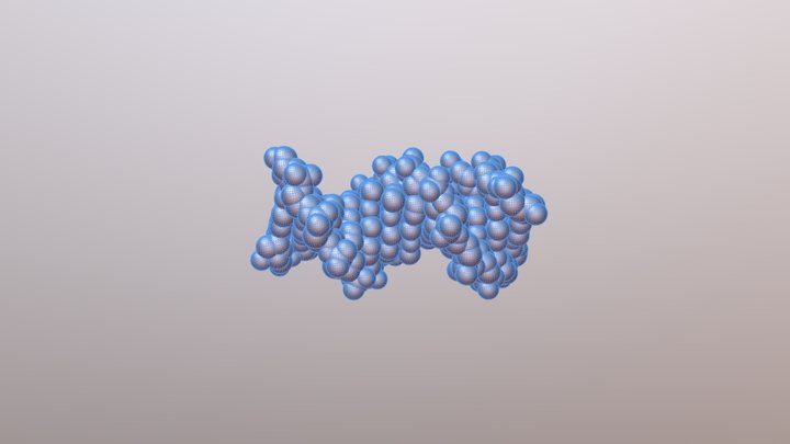 DNA 3D Model
