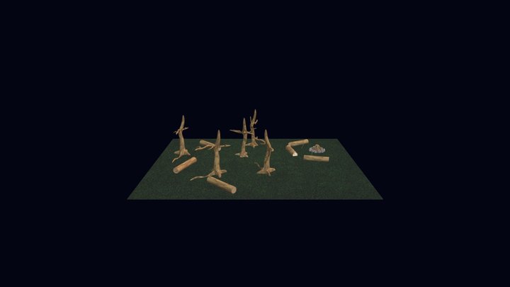 The Forest 3D Model