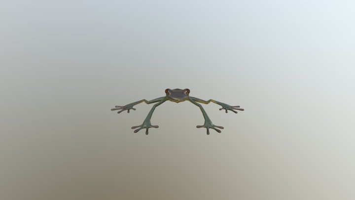 331 Frog 3D Model
