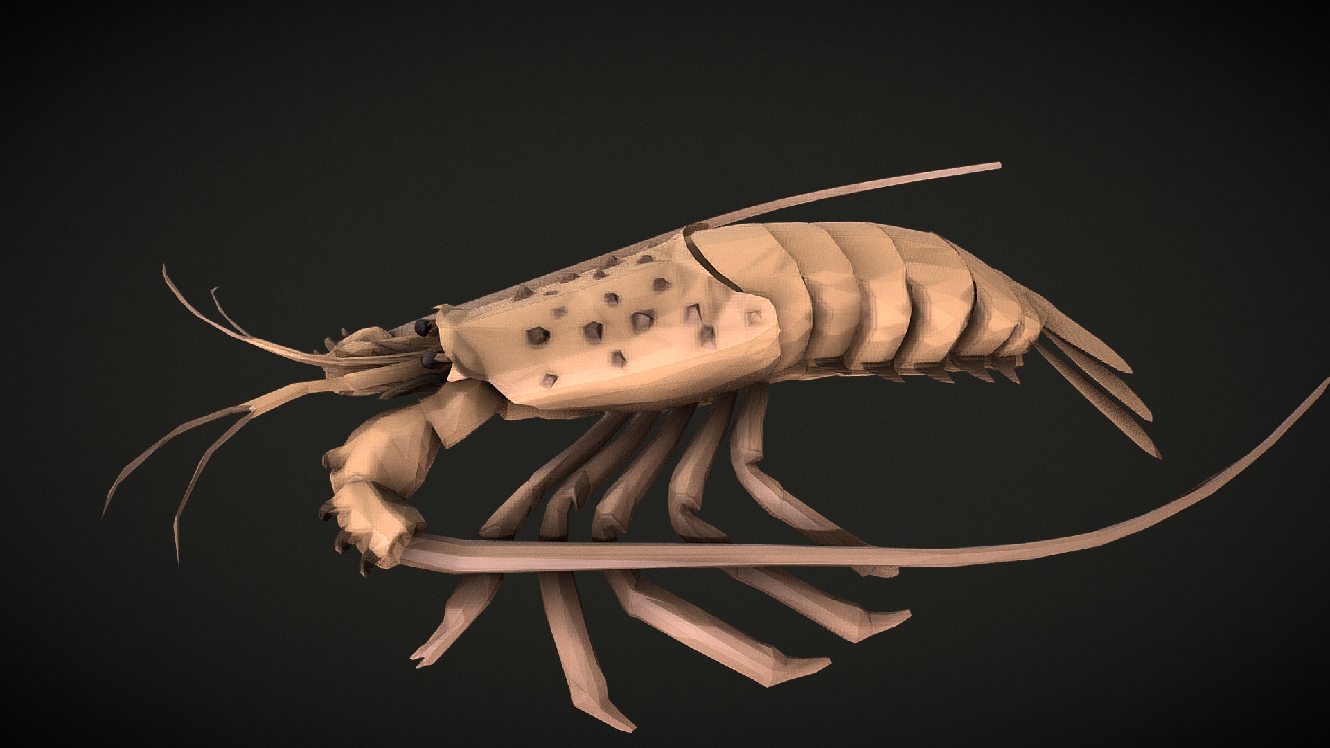 Low Poly Lobster - 3D Model By Poombanana25 [587bb41] - Sketchfab