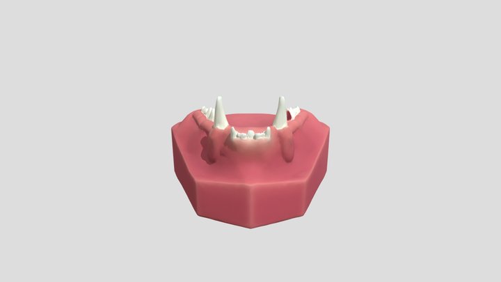 Cat upper jaw obj – Modelo 3D gratuito STL