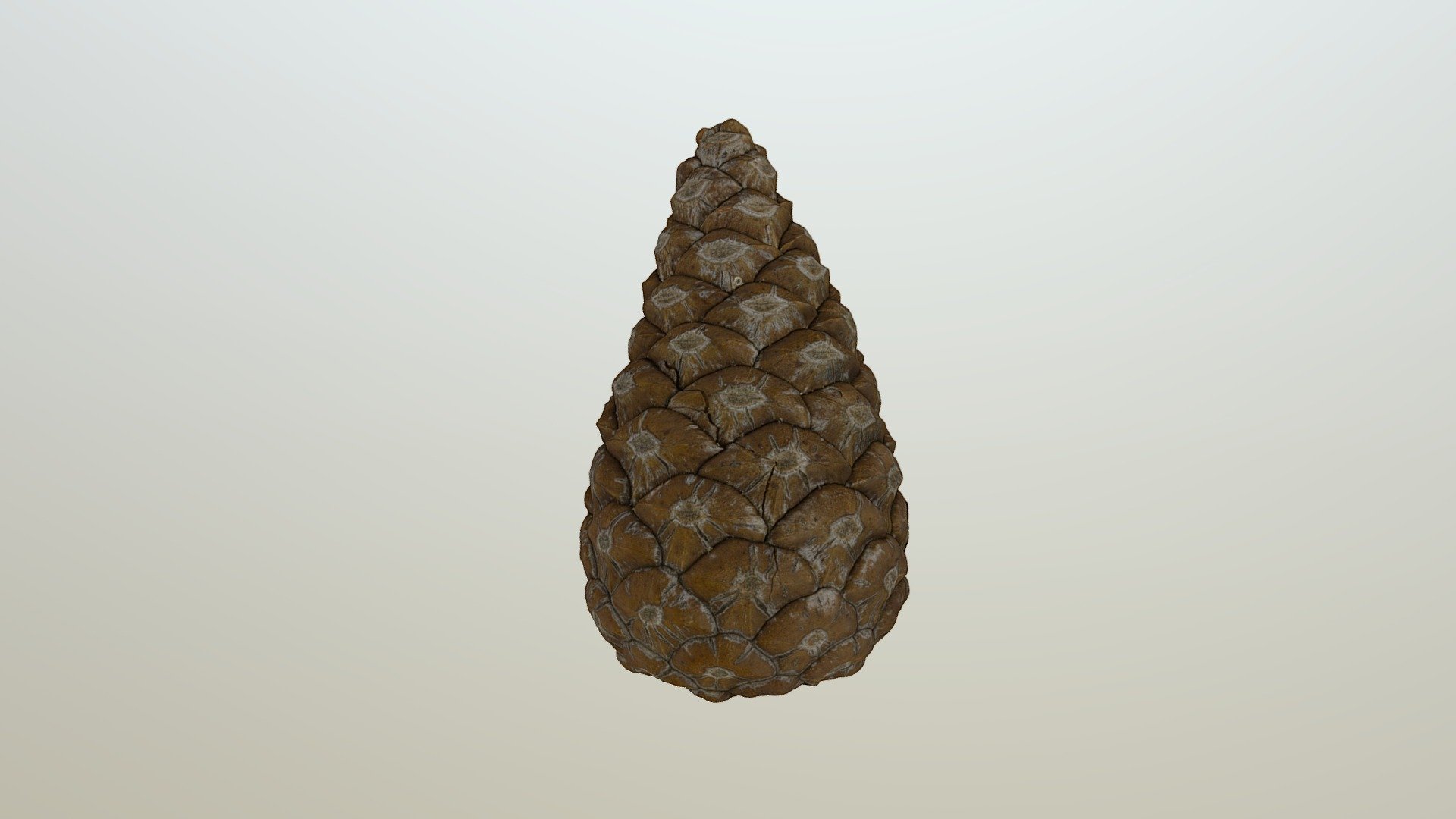 Piney McPineFace
