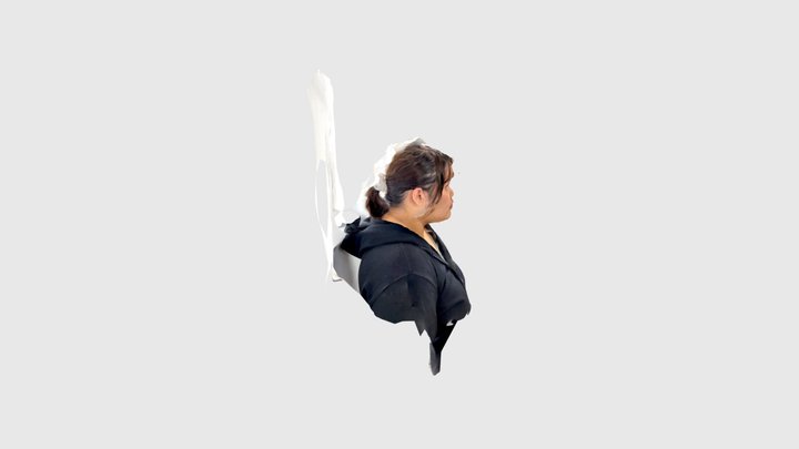 3D Scan Face 3D Model