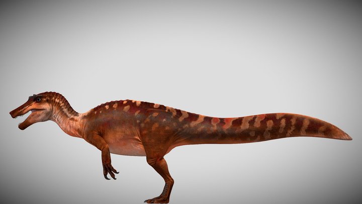 JWE3 Juvenile Irritator – Kostenloses 3D-Modell STL