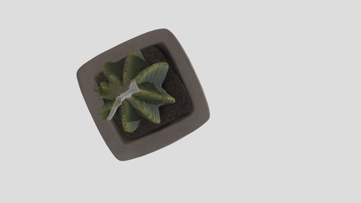 Cactus Model 3D Model