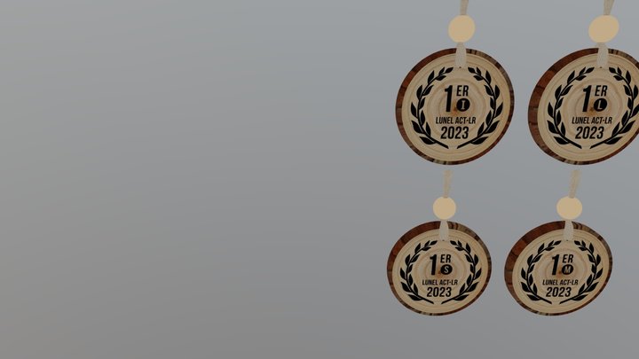 Médaille V1 3D Model
